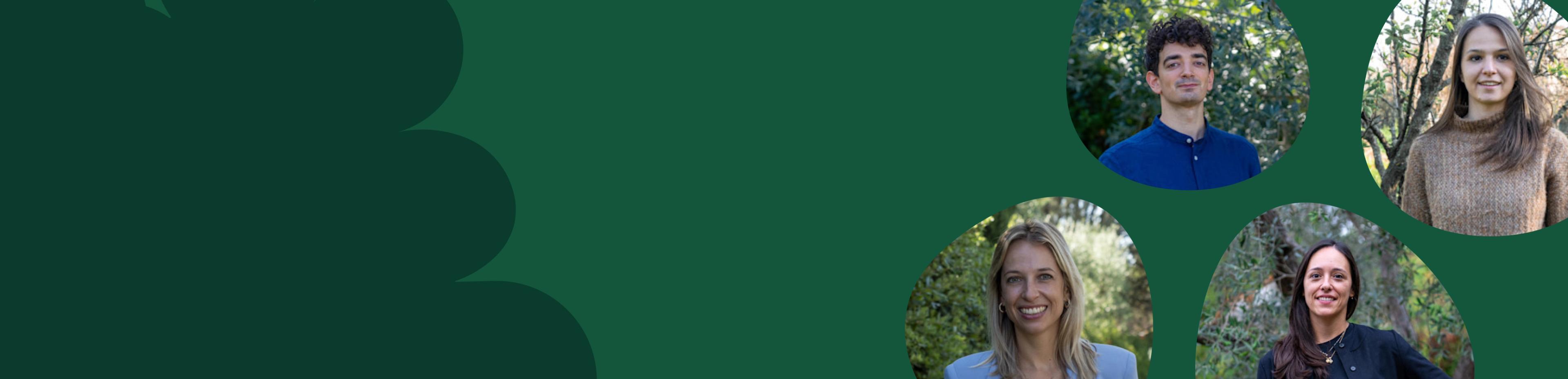 webinar banner