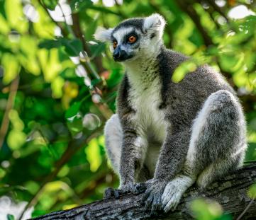 Biodiversidad