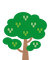 White Mulberry