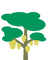 Jackfruit