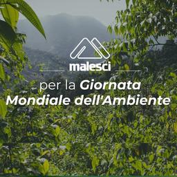 Malesci per la Giornata Mondiale dell'ambiente