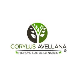 Foret CORYLUS AVELLANA