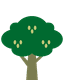 Neem