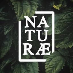 Naturæ Gin Forest