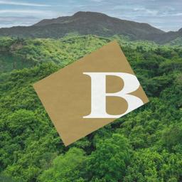 #BalsamoCares Forest