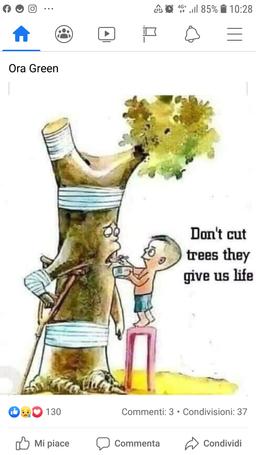 ML_Forest