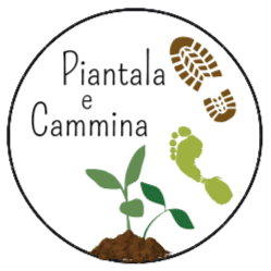 PIANTALA E CAMMINA