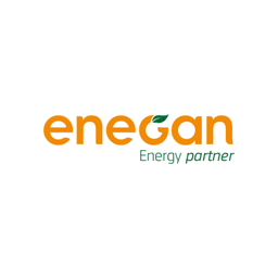 Enegan Cars