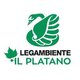 Foresta del Platano