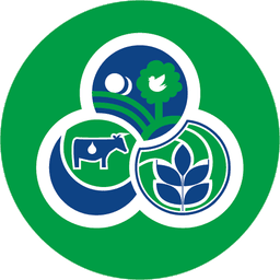 La foresta di Novatex