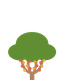 Caffè