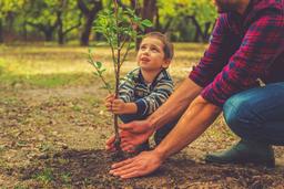 SaveHuman Forest