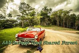 A&M Garage Team Shared Forest