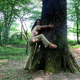 La foresta di Vale Baggio