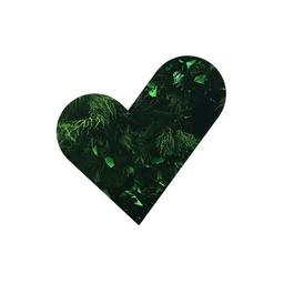 Match Making Forest