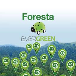 Foresta Evergreen