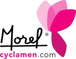 MOREL DIFFUSION FOREST