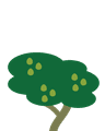 Guayaba