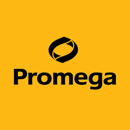 Sommergewinnspiel