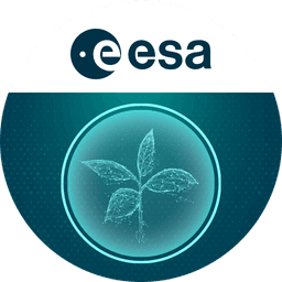 EO for Carbon Markets Forest