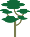 Bois de rose