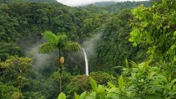 Foresta Jerù