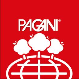 Pagani International