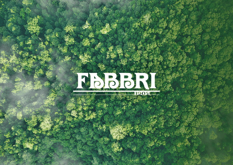 Fabbri 1905