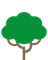 Leucaena