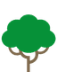 Leucaena
