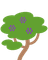 Jacaranda