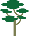 Découvrez le Bois de rose
