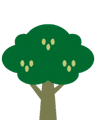 Découvrez le Neem