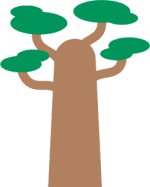 Baobab
