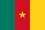 Flag of Cameroun