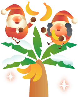 Bananier de Noël