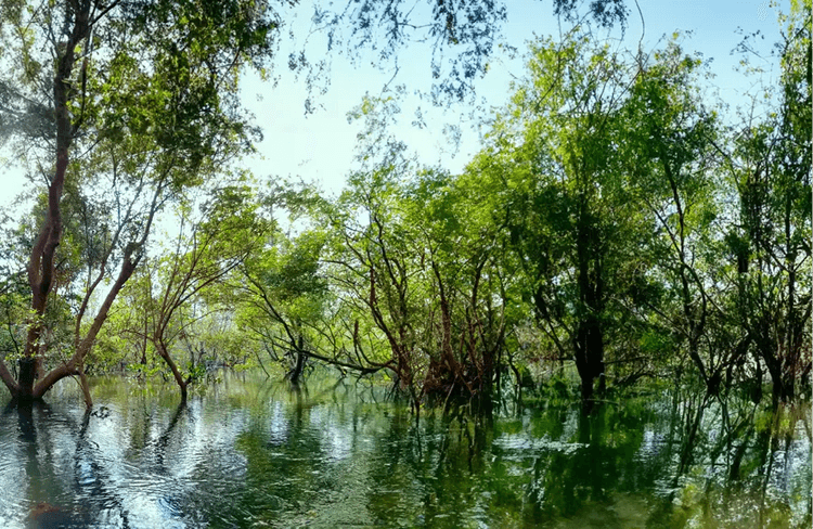 Protezione delle acque