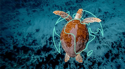 Support Marine Life
