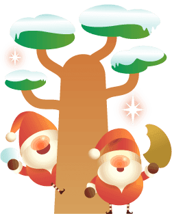 Baobab Christmas 2020