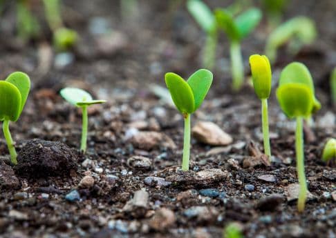 Telling the story of sustainable business
