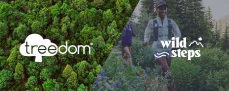 Team building in nature - powered by WildSteps