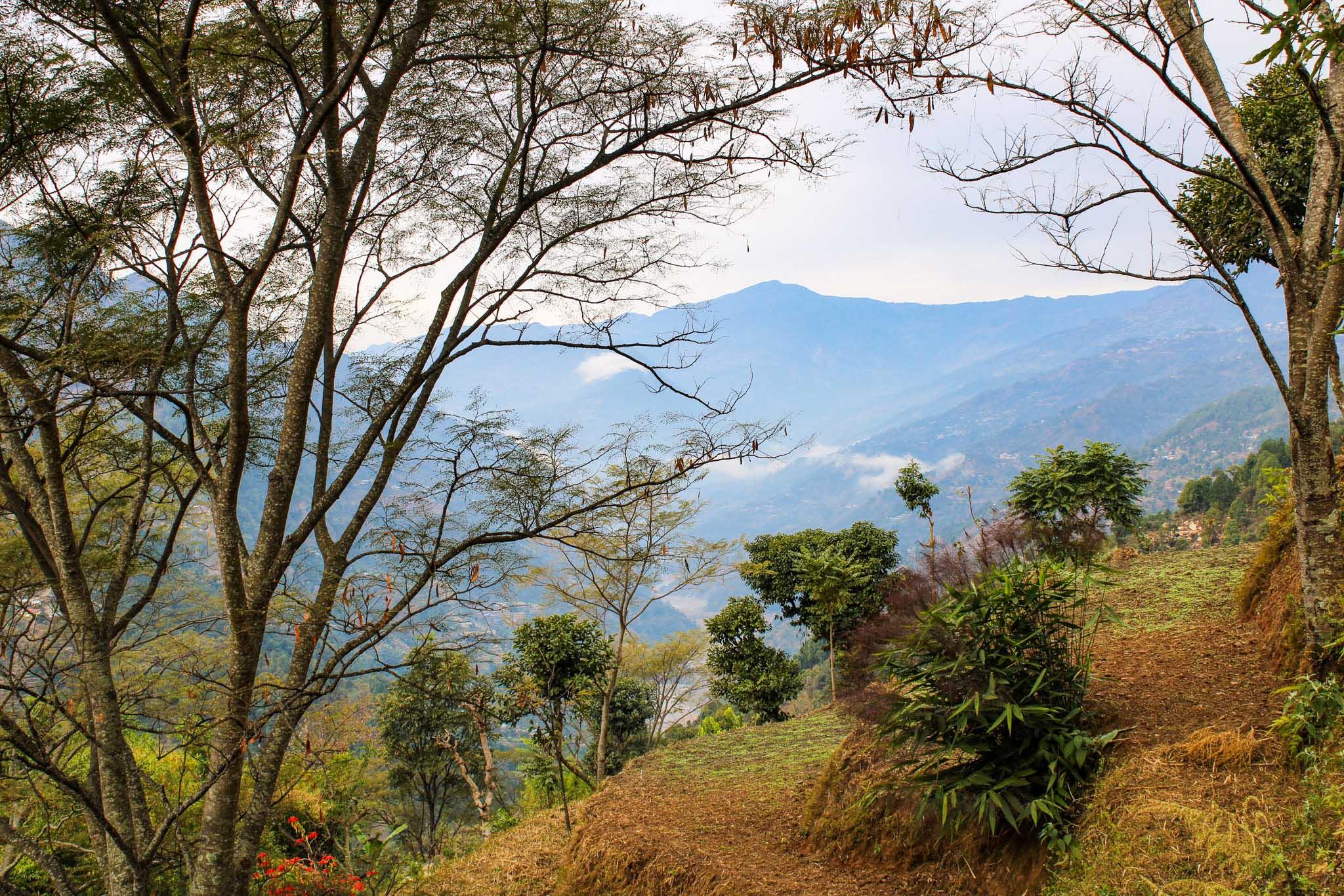 Nepal background