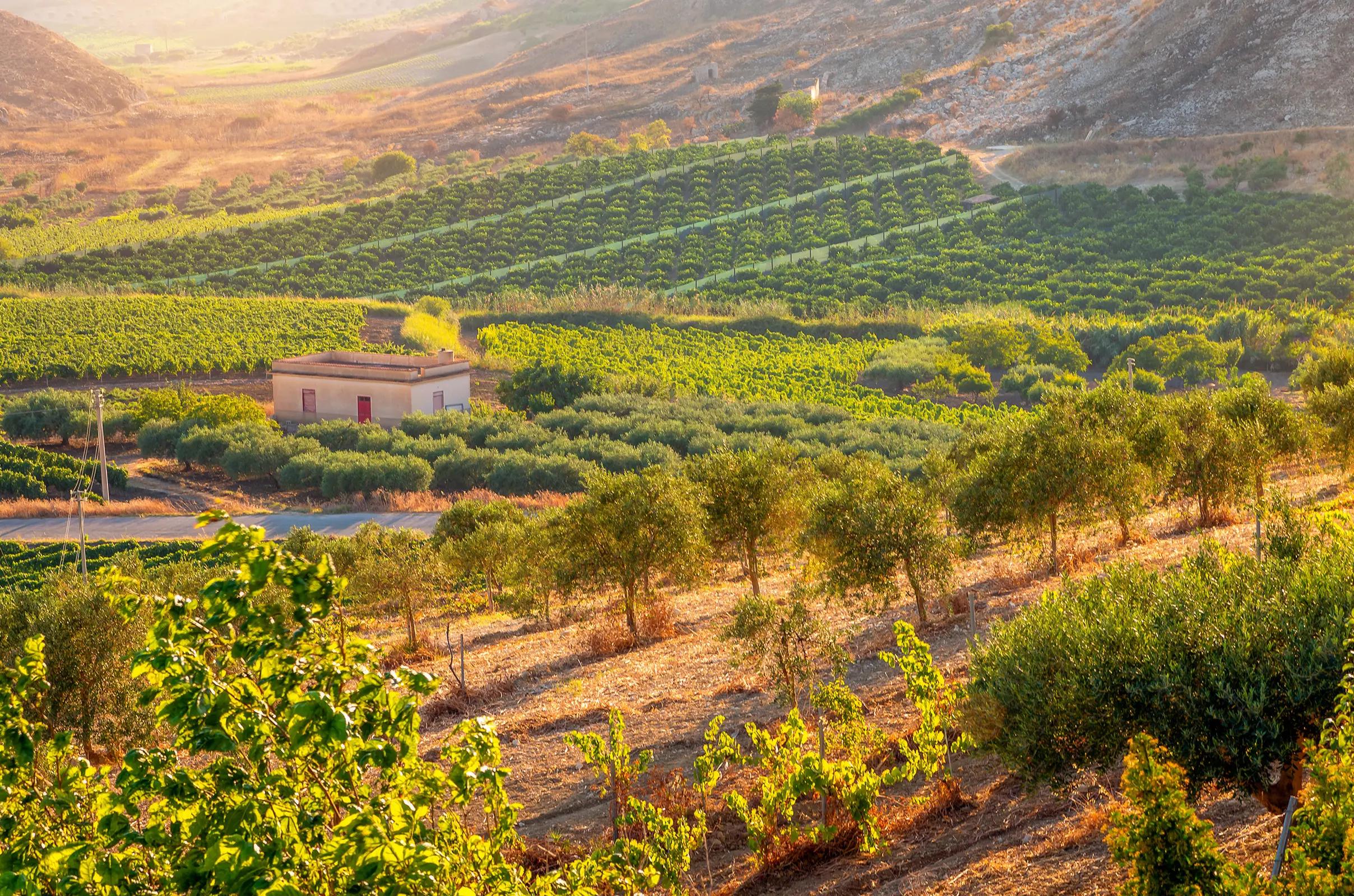 Italy background