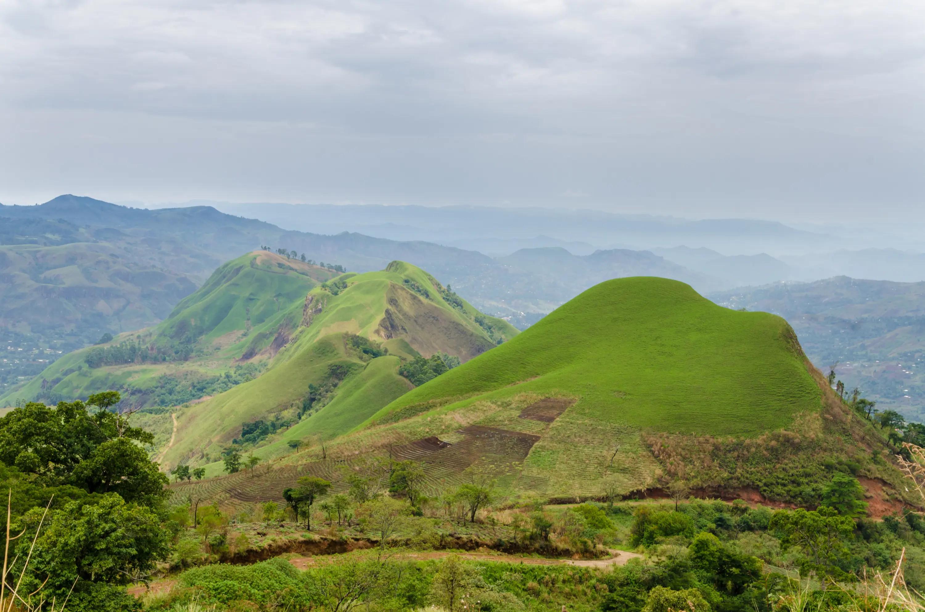 Cameroon background
