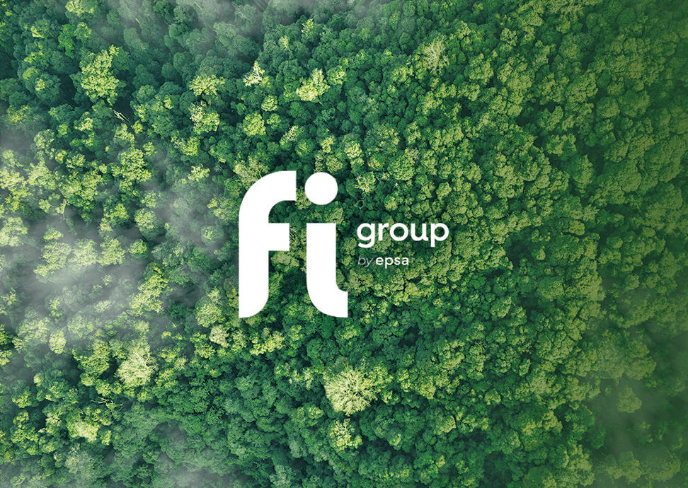 FI Group