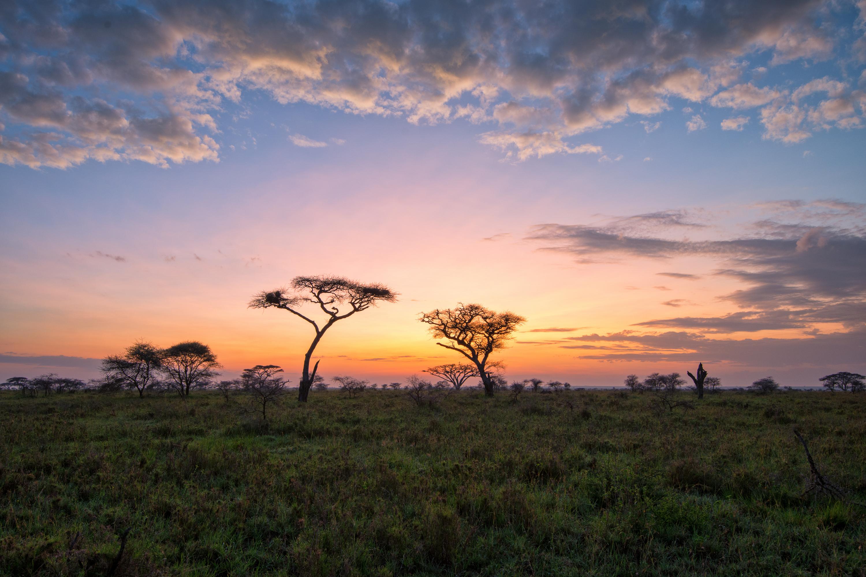 Kenya background