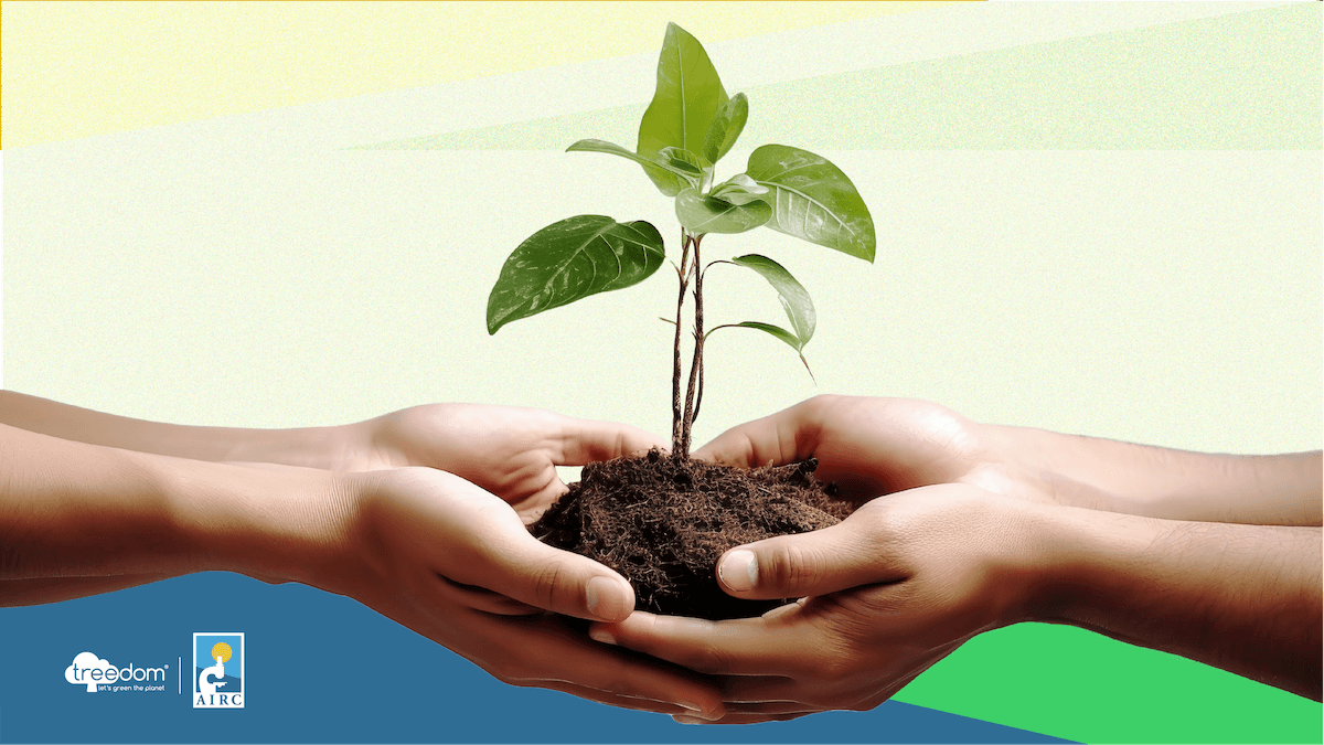 Plant a tree, nurture research