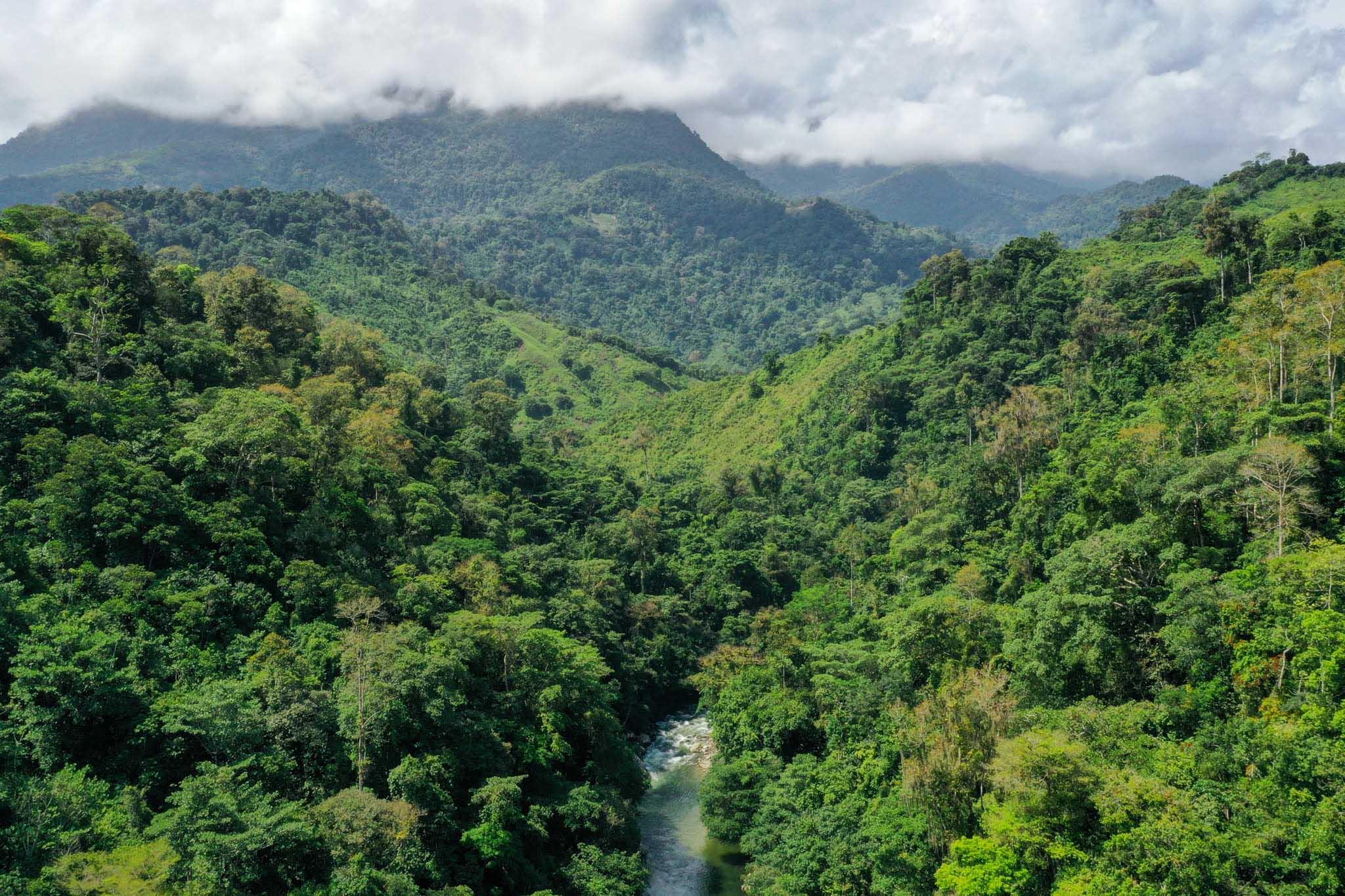 Colombia background