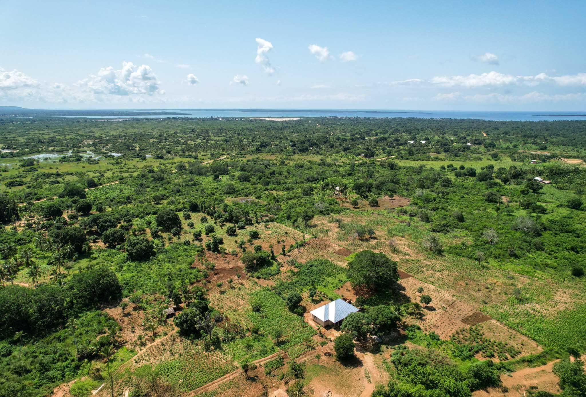 Tanzania background