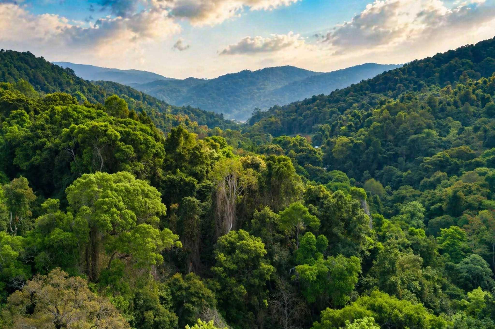Thailand background